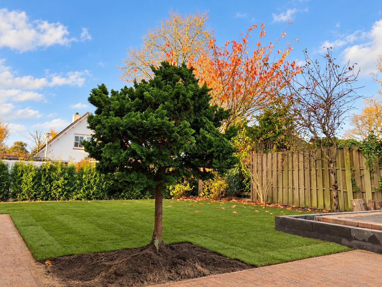 Tuinproject van Roep Hoveniers
